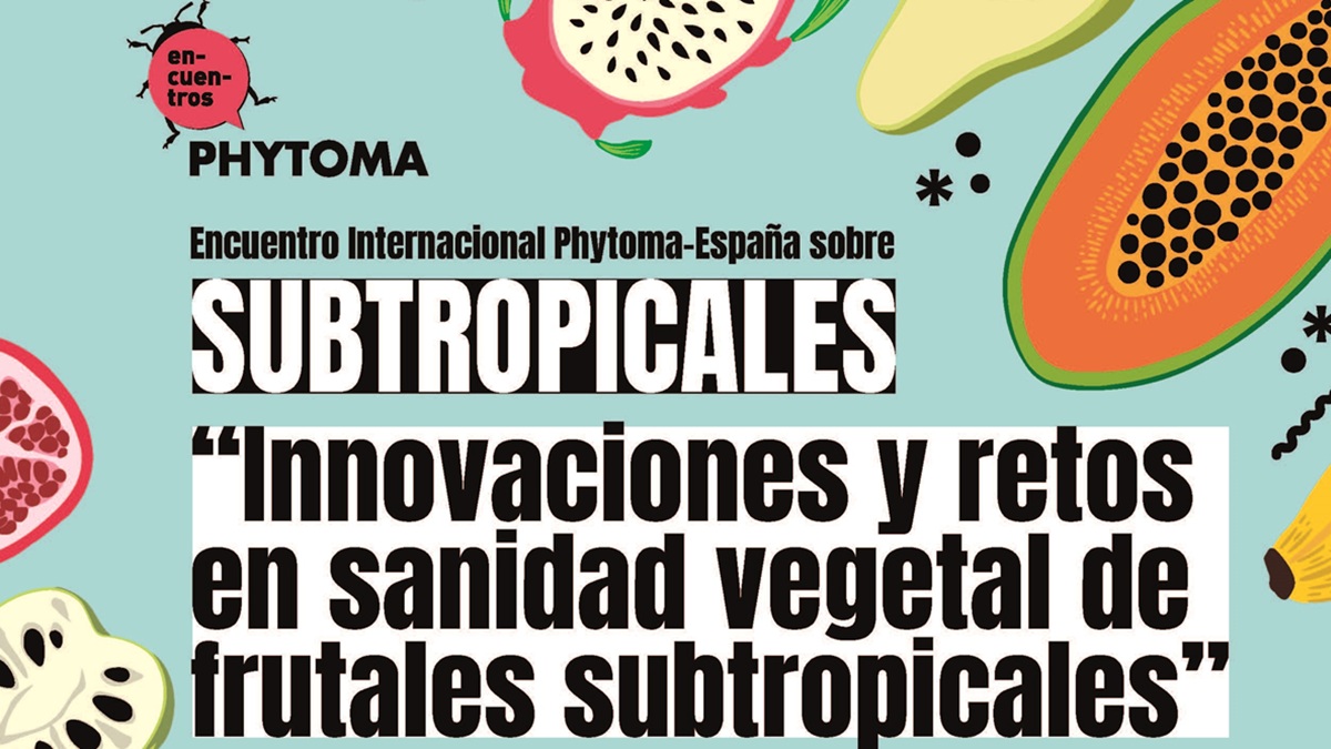 Cartel Encuentro Subtropicales